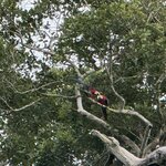 Photo taken by Kara H