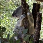 Photo taken by Gina L