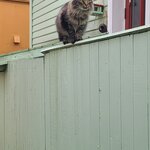 Photo taken by Tamara N