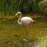 Photo taken by Steven M