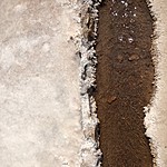 Photo taken by Brenna M