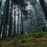 Photo taken by Lauren D