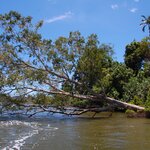 Photo taken by Sean M