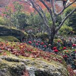 Photo taken by Charlotte B