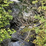 Photo taken by David L