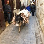 Photo taken by Maria R