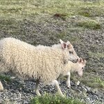 Photo taken by Felicia L