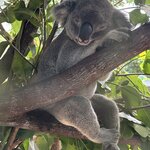 Photo taken by Jolene M