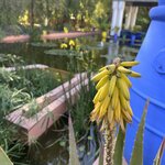 Photo taken by Charis U