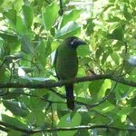 Photo taken by Joyce C