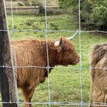 Photo taken by David L