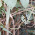 Photo taken by Wayne D