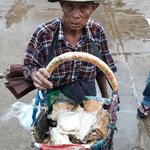 Photo taken by Michelle R