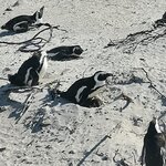 Photo taken by Crystall P