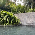 Photo taken by Blair H