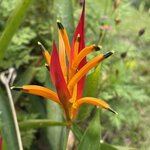 Photo taken by Paul F