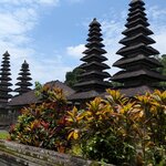 Photo taken by Paran J