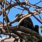 Photo taken by Jim W