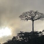 Photo taken by Sofia W