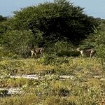 Photo taken by Peter L