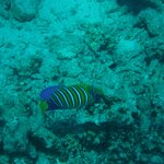 Photo taken by Chris M