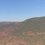 Red and Green  | Photo taken by Rose A