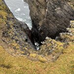 Photo taken by Danielle P