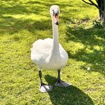 Photo taken by Lisa H