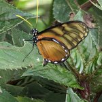 Photo taken by Denise M