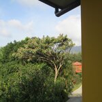 Photo taken by John N