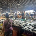 Photo taken by Kim B