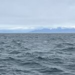 Photo taken by Connie P