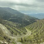 Photo taken by laurie w