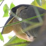 Photo taken by Graeme W