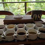 Photo taken by Nancy P