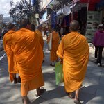 Photo taken by Wendy P