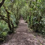 Photo taken by Victoria E