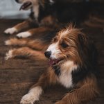 Photo taken by timothy m