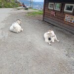 Photo taken by Joost S