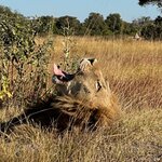 Photo taken by Tom B