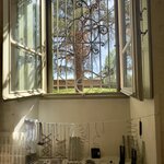 Photo taken by Erin J