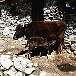 Photo taken by John David W