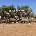 Photo taken by Cynthia F