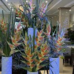 Photo taken by Antia E