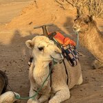 Photo taken by Colin M