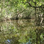 Photo taken by amny g