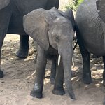 Photo taken by rhonda c