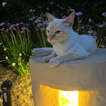 Photo taken by Steven L