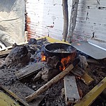 Photo taken by Janice B