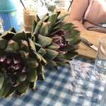 Beautiful! | Photo taken by Heidi C